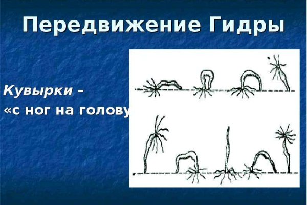 Кракен сайт официальный kraken clear com