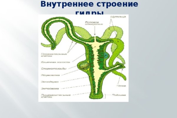 Kraken магазин
