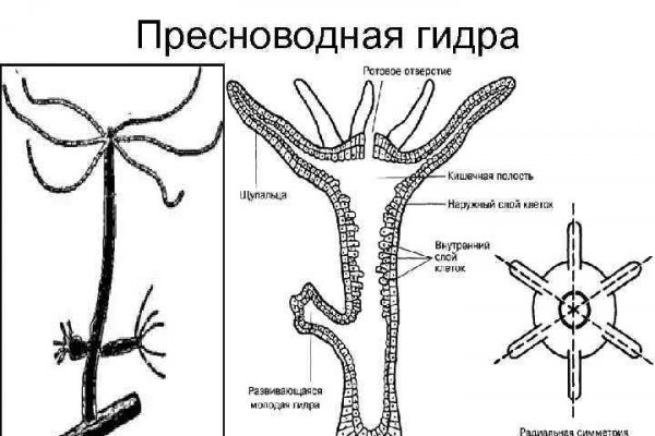 Кракен ссылка на тор официальная онион