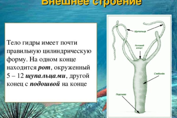 Кракен сайт в тор браузере ссылка